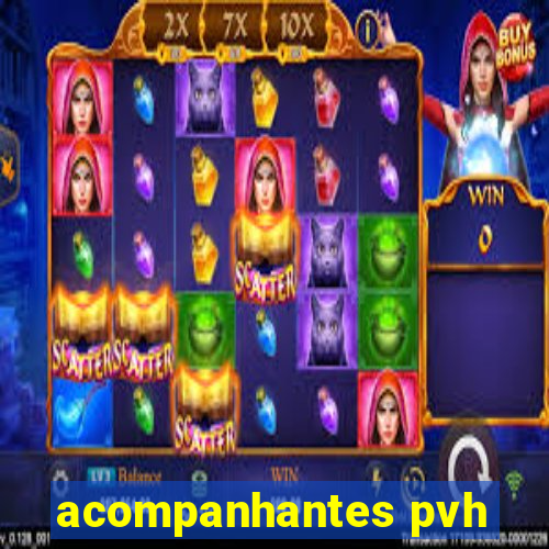 acompanhantes pvh